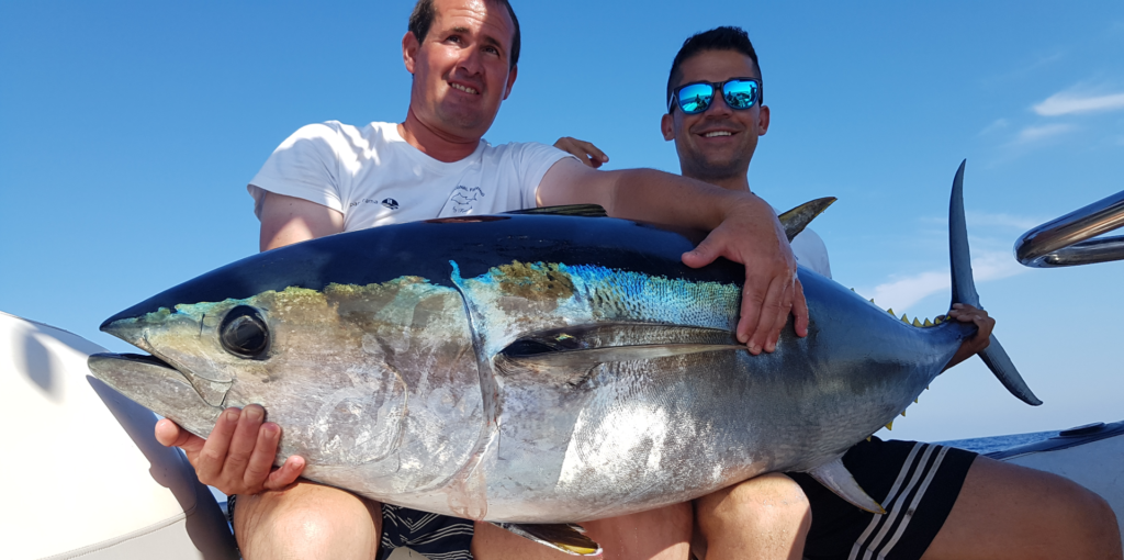 Kontakt Emotional Fishing Dénia