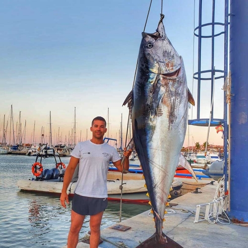 Curricán de altura - Emotional Fishing