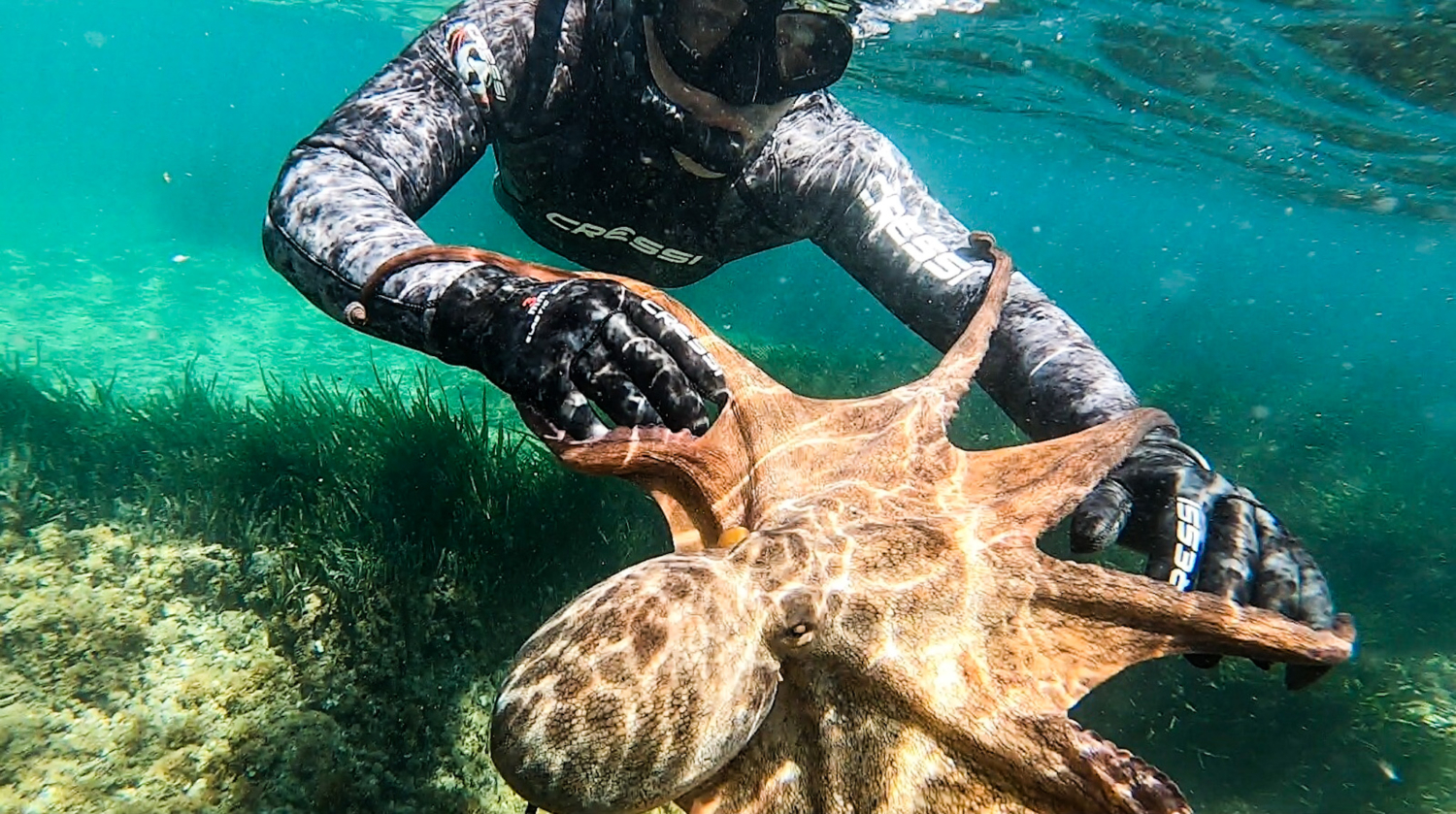 Fondos marinos buceo