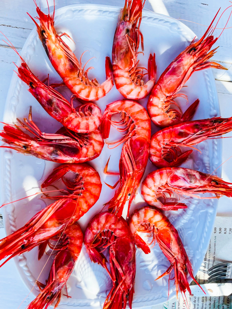 Gamba roja de Denia