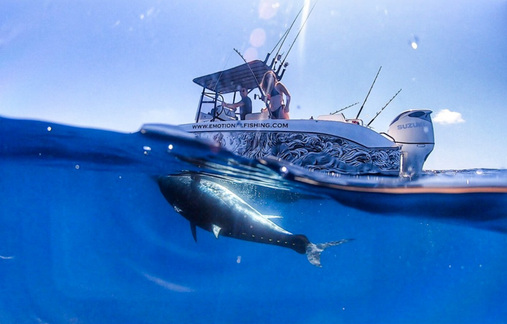 Atun gigante bajo el barco