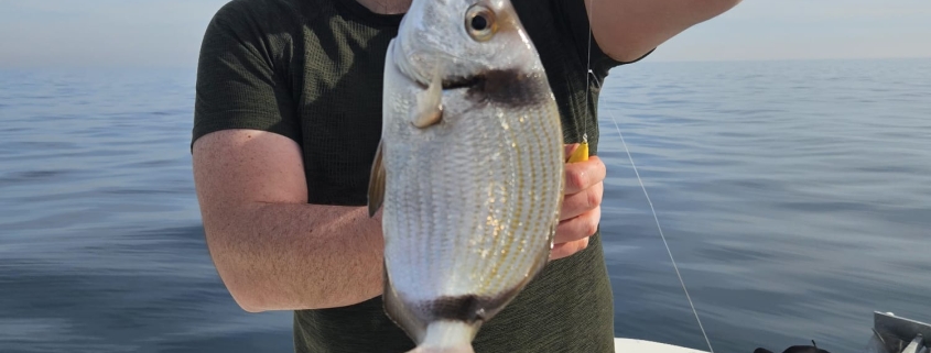 WhatsApp Image 2024 01 31 at 16.29.53