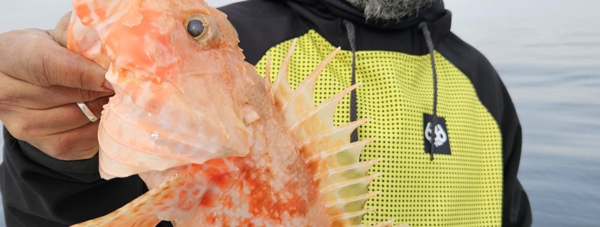 WhatsApp Image 2024 02 08 at 08.31.27