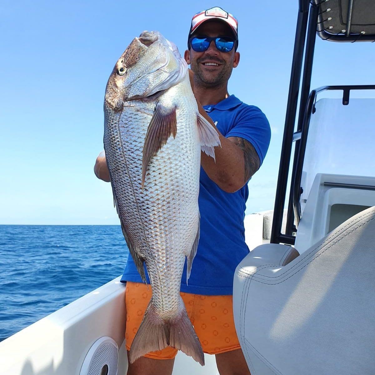 Kapitaler Dentón an Bord — Emotional Fishing Dénia