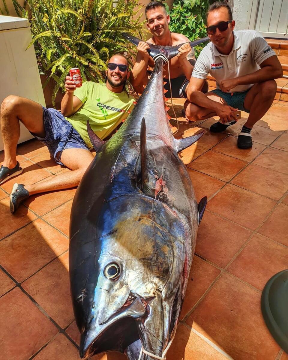 Fang Emotional Fishing Dénia